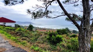 Castro de Santa Trega