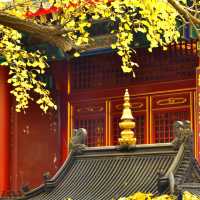 🍁 가을이 가장 아름다운 사찰, 대비사에서 찾은 고요함