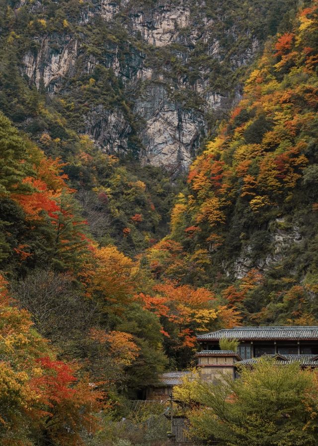 藏在川北的秘境！平武彩林+古寨+瀑布，5天承包深秋浪漫