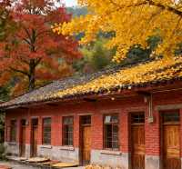 乘上復古小火車，闖入南國油畫世界！