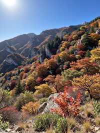別再去香山了！北京免費紅葉秘境絕美