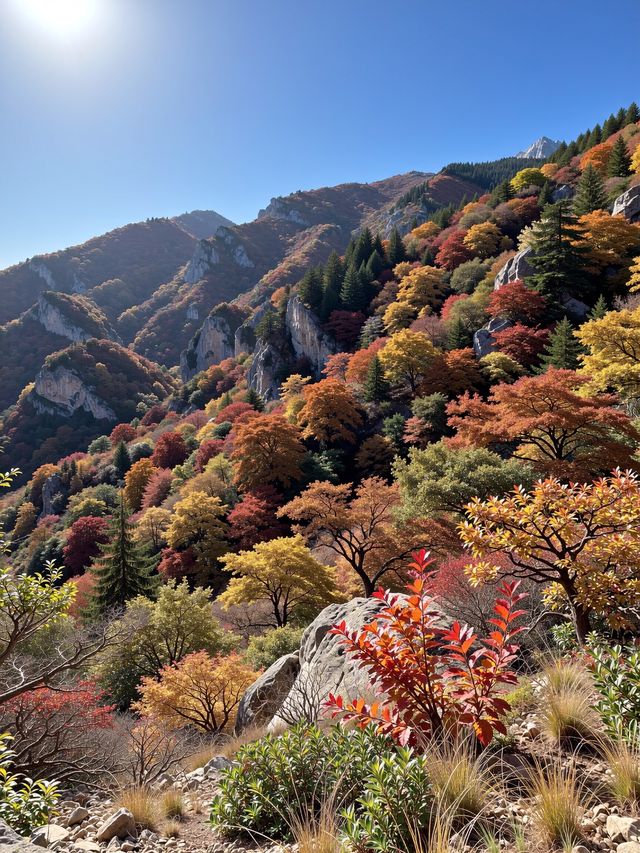 別再去香山了！北京免費紅葉秘境絕美