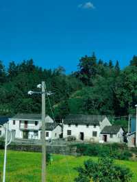 祁門蘆荔稻田遊玩攻略