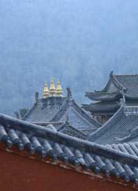 洗衣免費,鴻達酒店這波操作真係好貼地。