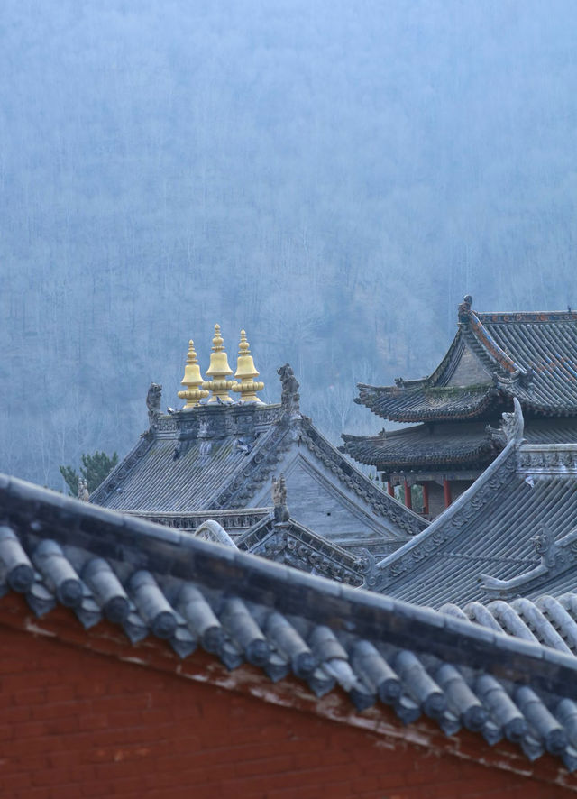 洗衣免費,鴻達酒店這波操作真係好貼地。 洗衣免費,鴻達酒店這波操作真係好貼地。