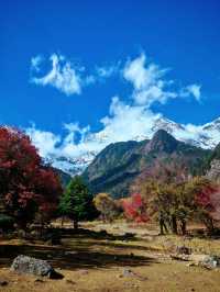 哇塞…徒步遇到這風景跟畫有什麼區別