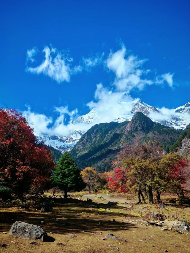 哇塞…徒步遇到這風景跟畫有什麼區別