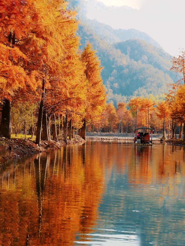 最新皖南川藏線的秋，藏在這片紅海裏。