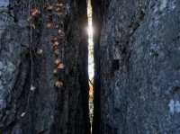 初冬江浙滬徒步指南｜3條精選路線+裝備清單+避坑乾貨