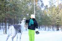 漠河三天兩晚極致尋北攻略：赴一場冰雪與星空的約會