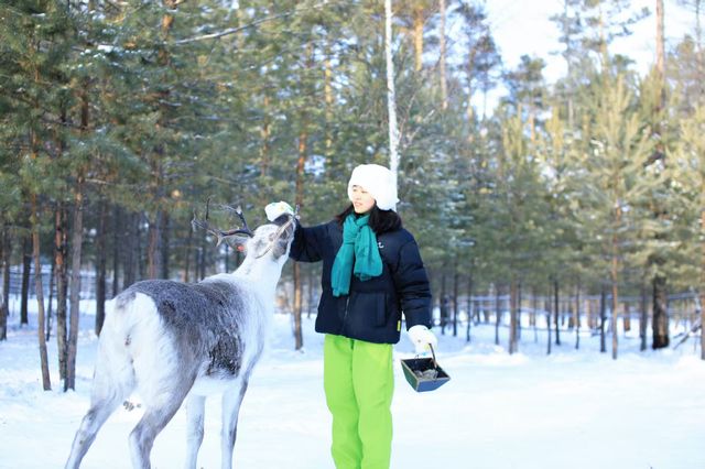 漠河三天兩晚極致尋北攻略：赴一場冰雪與星空的約會