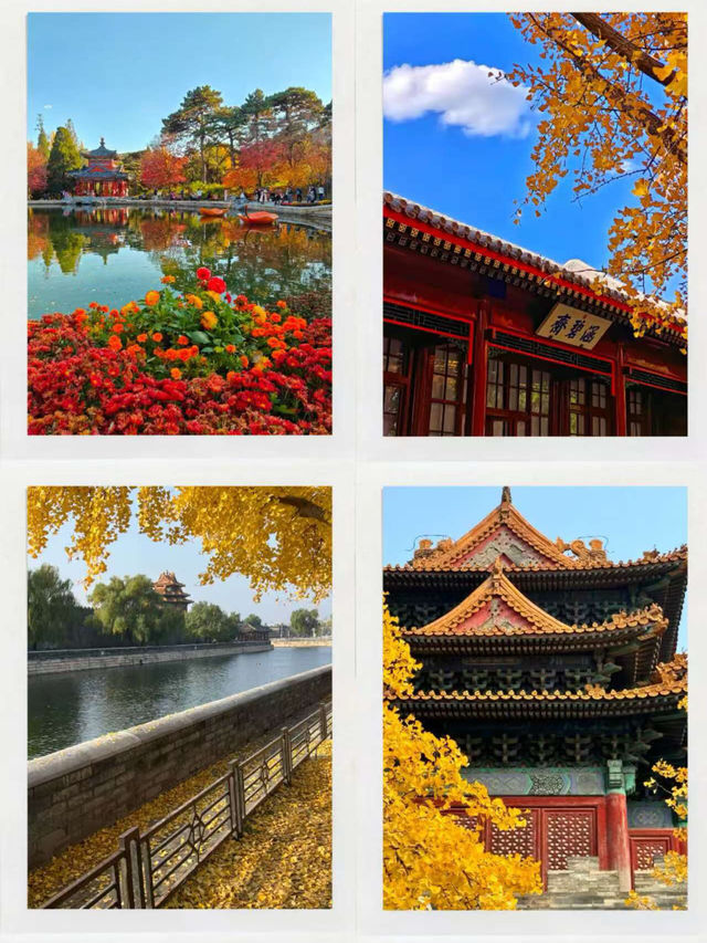 秋色中國｜承包你一整個秋天的詩意！