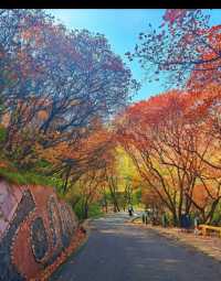 北國秋日仙境!紅葉谷絕美打卡攻略