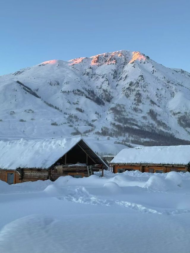 雪落人間，把世界裹成純白童話