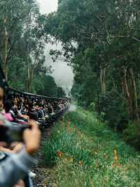 墨爾本｜蒸汽火車與企鵝歸巢-14人團旅行