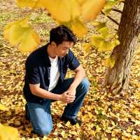 帽峰秋語：在金色秘境治癒心靈