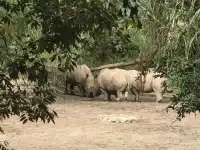 雲南普洱太陽河森林公園
