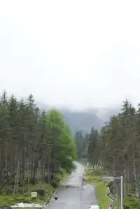 人生第一次帶相機雨林徒步!