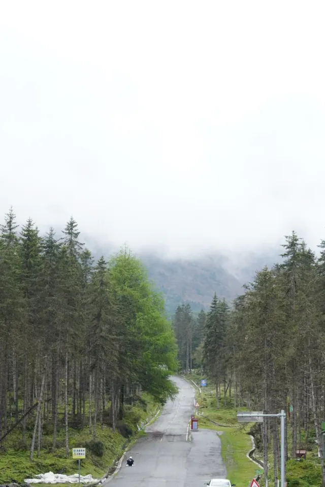 人生第一次帶相機雨林徒步! 人生第一次帶相機雨林徒步!