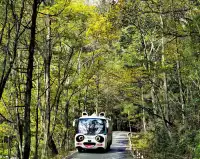 2025年11月16日廣元唐家河