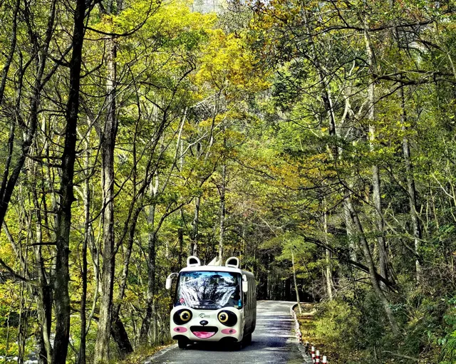 2025年11月16日廣元唐家河