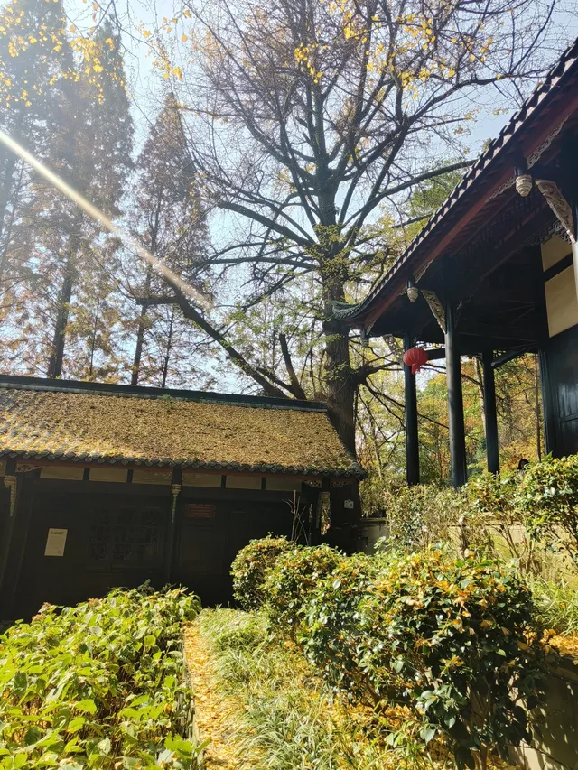 都江堰靈巖寺最容易領的獎牌