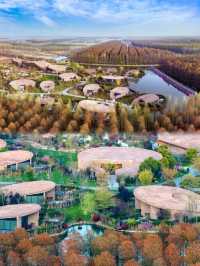 森林秘境中的溫泉天堂金湖這家隱世酒店太絕了！