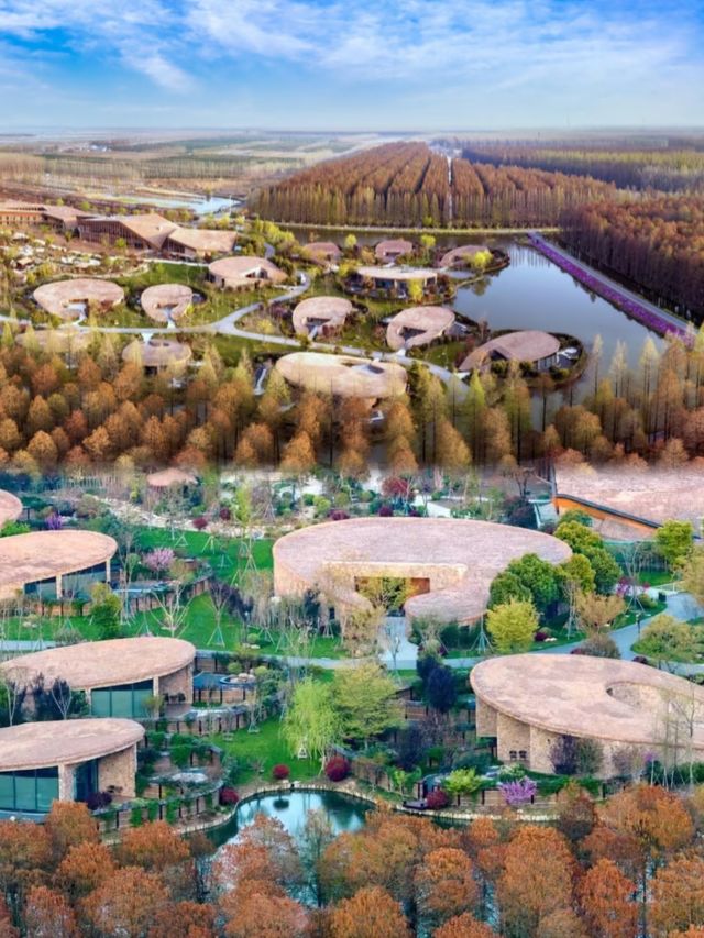 森林秘境中的溫泉天堂金湖這家隱世酒店太絕了！