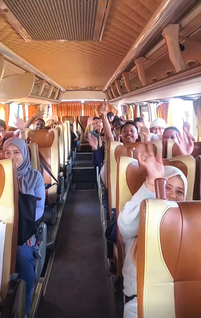 西安外賓Travel全程雙語導遊超省心 西安外賓Travel全程雙語導遊超省心