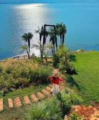 秋遊必看昆明等地攻略直接抄作業