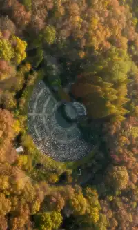 暮秋風起染金陵 我拍到一整個南京的秋天