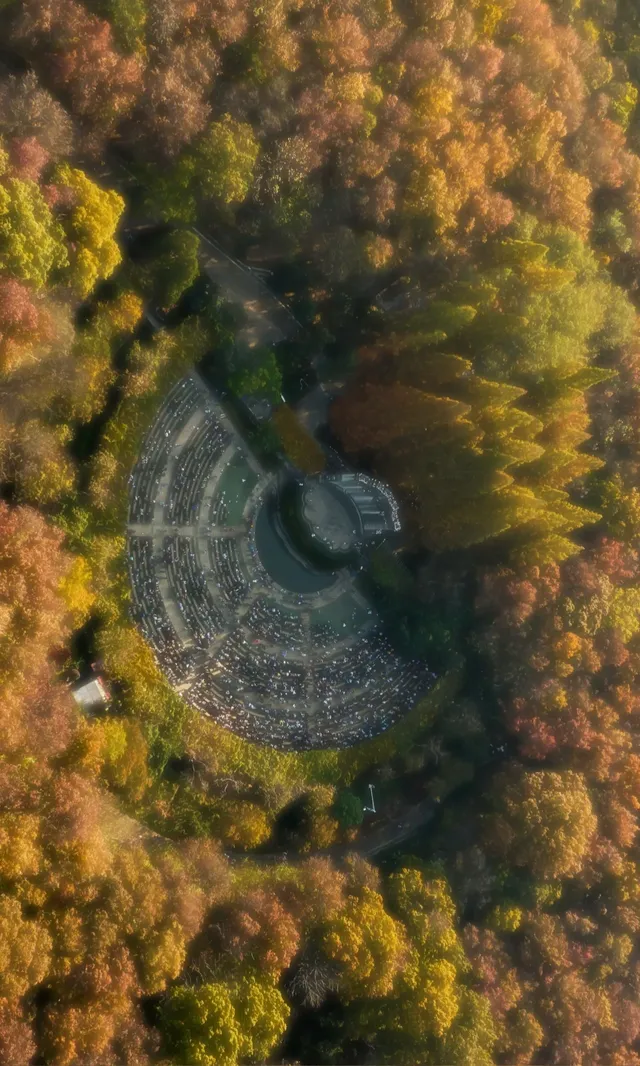 暮秋風起染金陵 我拍到一整個南京的秋天 暮秋風起染金陵 我拍到一整個南京的秋天