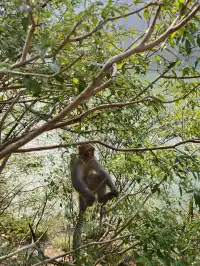 全程徒步挑戰三峽之巔(附超詳細攻略)