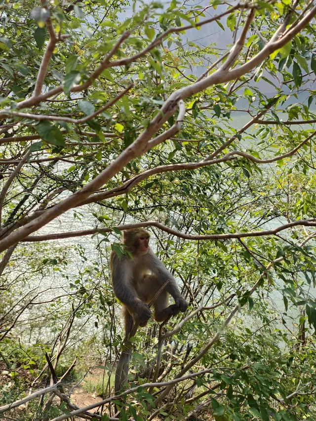 全程徒步挑戰三峽之巔(附超詳細攻略) 全程徒步挑戰三峽之巔(附超詳細攻略)