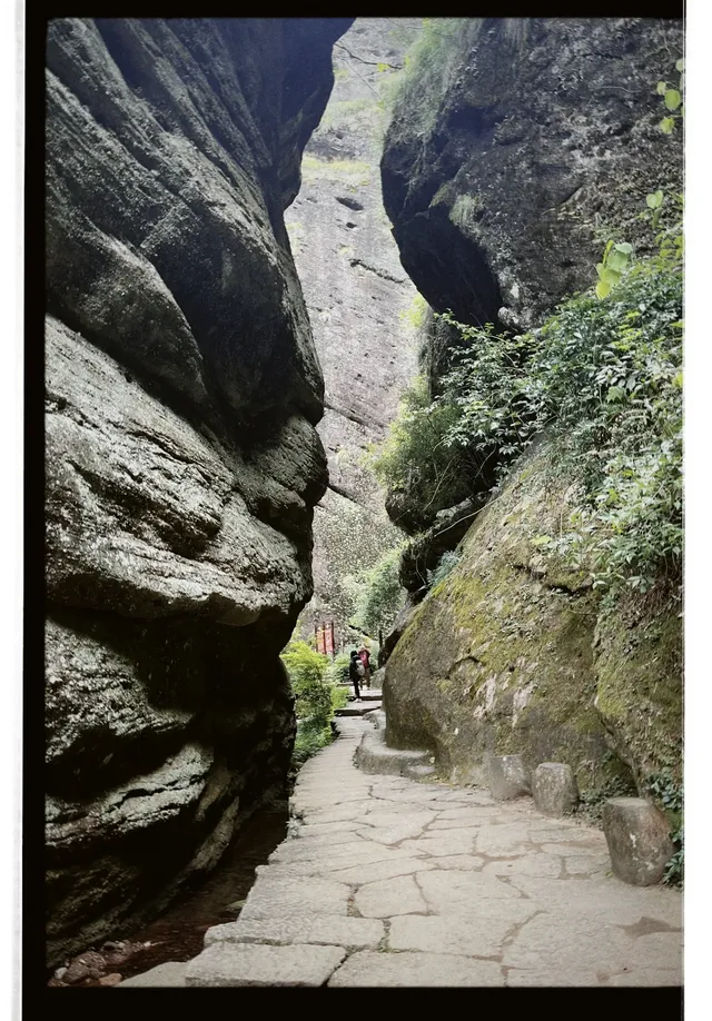 清冷武夷山，最宜岩骨花香漫步