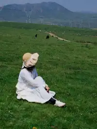 七月的抓喜秀龍草原