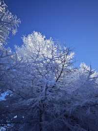 各位驢友，快來交換你們的樺皮嶺雪景圖|||樺皮嶺的