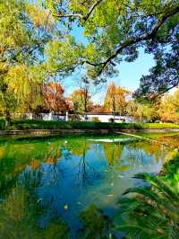 上海楊浦免費賞秋地