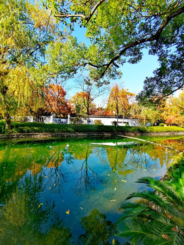 上海楊浦免費賞秋地