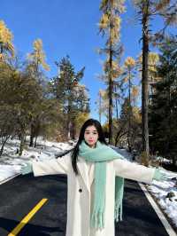 別只夏天去九寨溝，冬天才是靈魂暴擊