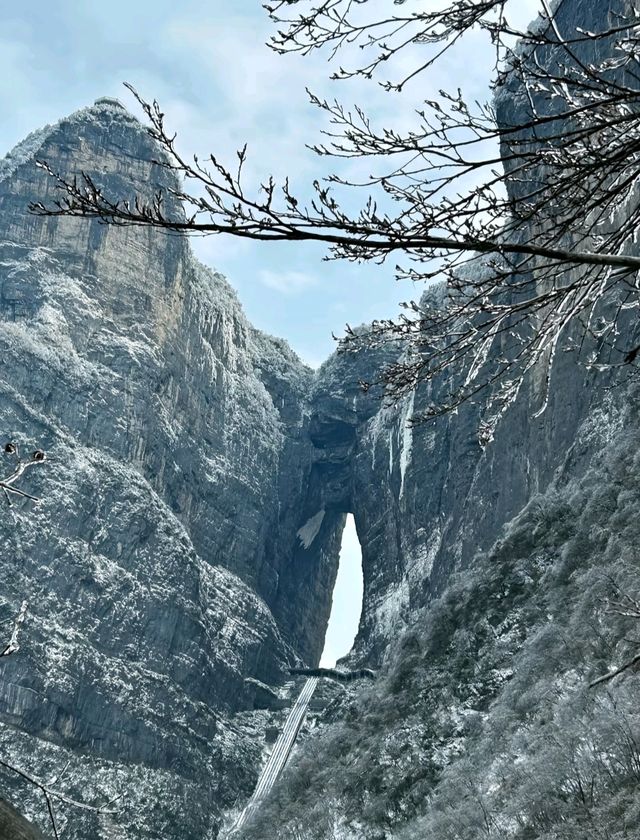 2. 拒絕繞路!張家界國家森林公園+天門山環線,新手也能衝 2. 拒絕繞路!張家界國家森林公園+天門山環線,新手也能衝