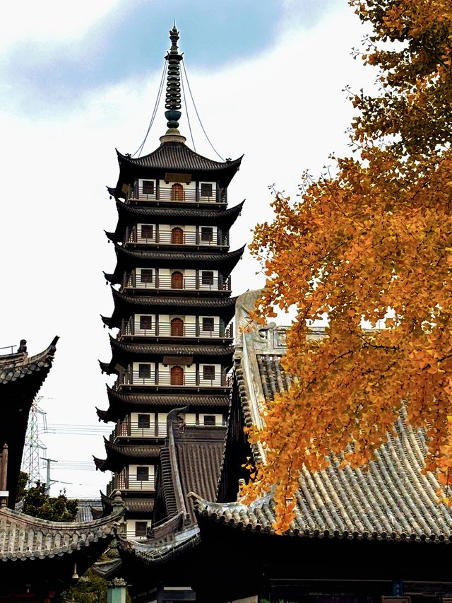 上海追秋 千年銀杏+元代古寺|真如寺打卡全攻略 上海追秋 千年銀杏+元代古寺|真如寺打卡全攻略