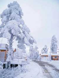 霧淞仙境美如畫