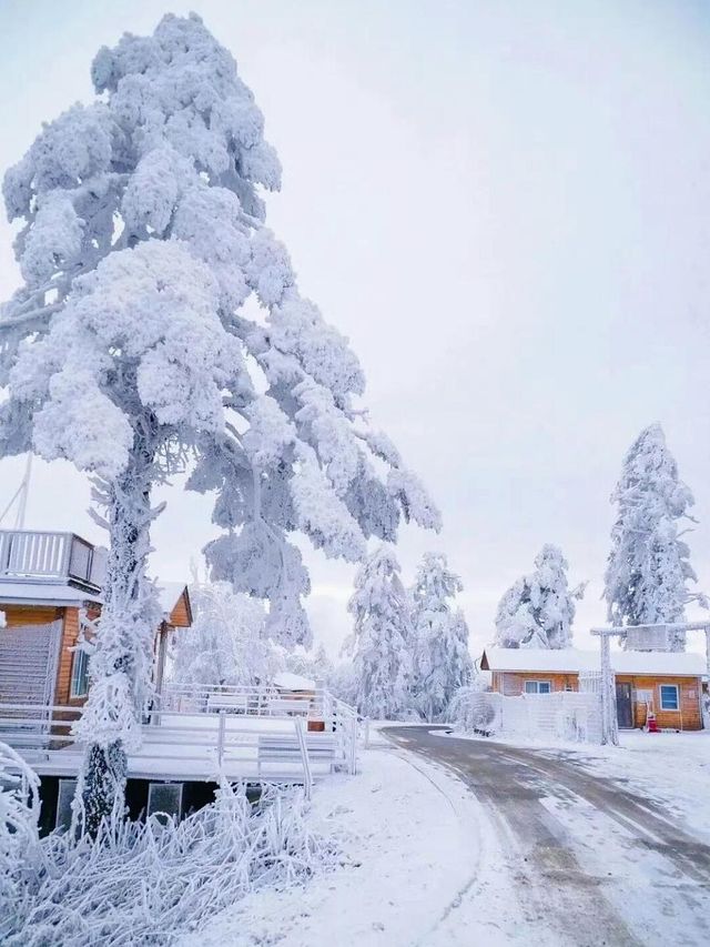 霧淞仙境美如畫