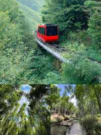 一半是湖水,一半是竹海,溧陽的美,超出你想像!