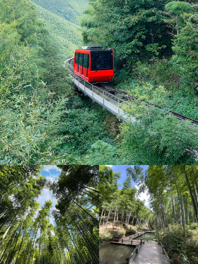 一半是湖水,一半是竹海,溧陽的美,超出你想像! 一半是湖水,一半是竹海,溧陽的美,超出你想像!