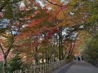名古屋的秋東山 犬山 真的很好拍~
