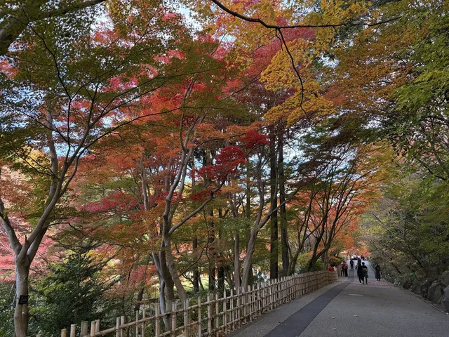 名古屋的秋東山 犬山 真的很好拍~ 名古屋的秋東山 犬山 真的很好拍~