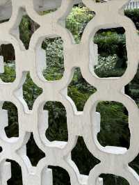 重慶散步|十一月依舊翠綠的鵝嶺公園