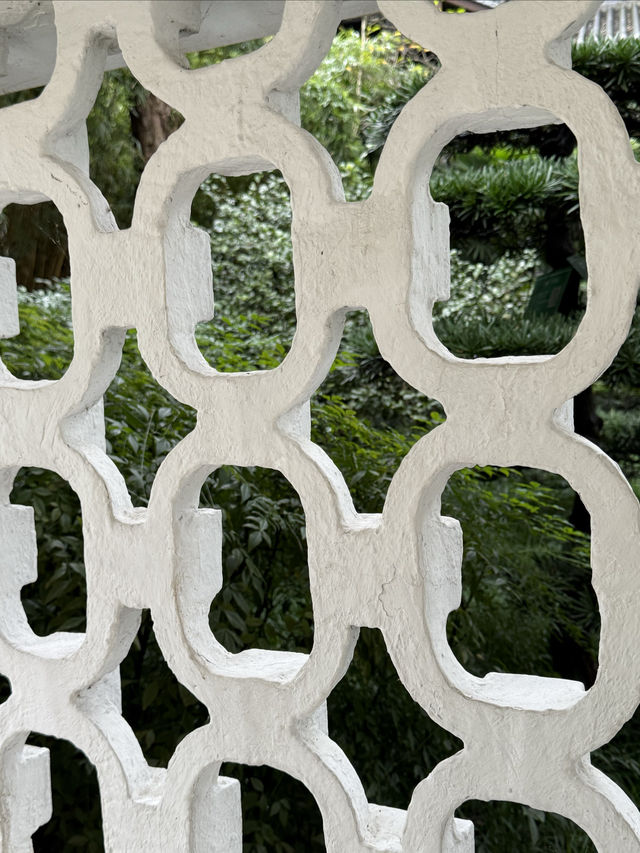 重慶散步|十一月依舊翠綠的鵝嶺公園 重慶散步|十一月依舊翠綠的鵝嶺公園